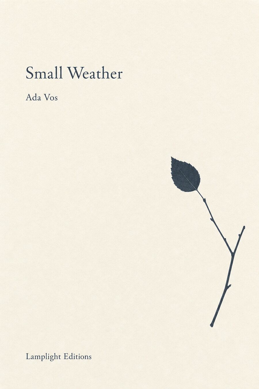 A Contemporary minimalist literary sample cover